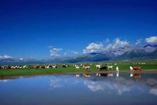 去賽里木湖別只拍照,環(huán)湖騎車 坐直升機 乘熱氣球 想怎么玩就怎么玩