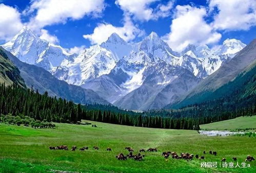 歐洲人毀滅歐洲,西班牙南部沙漠化 當?shù)鼐W(wǎng)友 只有中國人在種樹