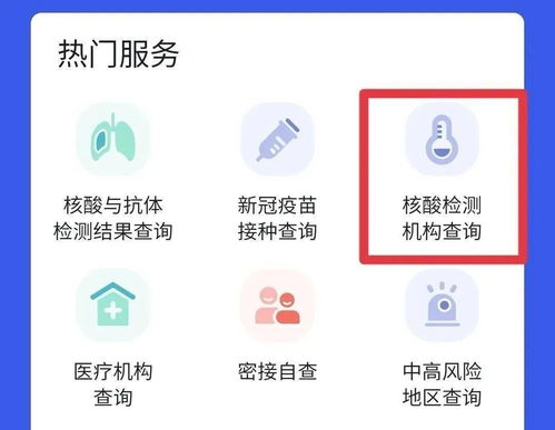 四川省核酸檢測(cè)信息系統(tǒng)上線 一鍵查詢(xún)，便捷安心