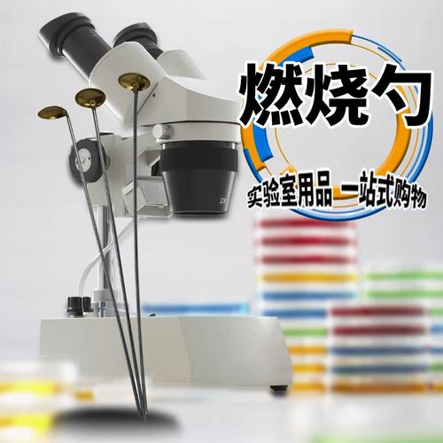 化學實驗利器 銅頭燃燒匙——多功能的燃燒反應與加熱工具